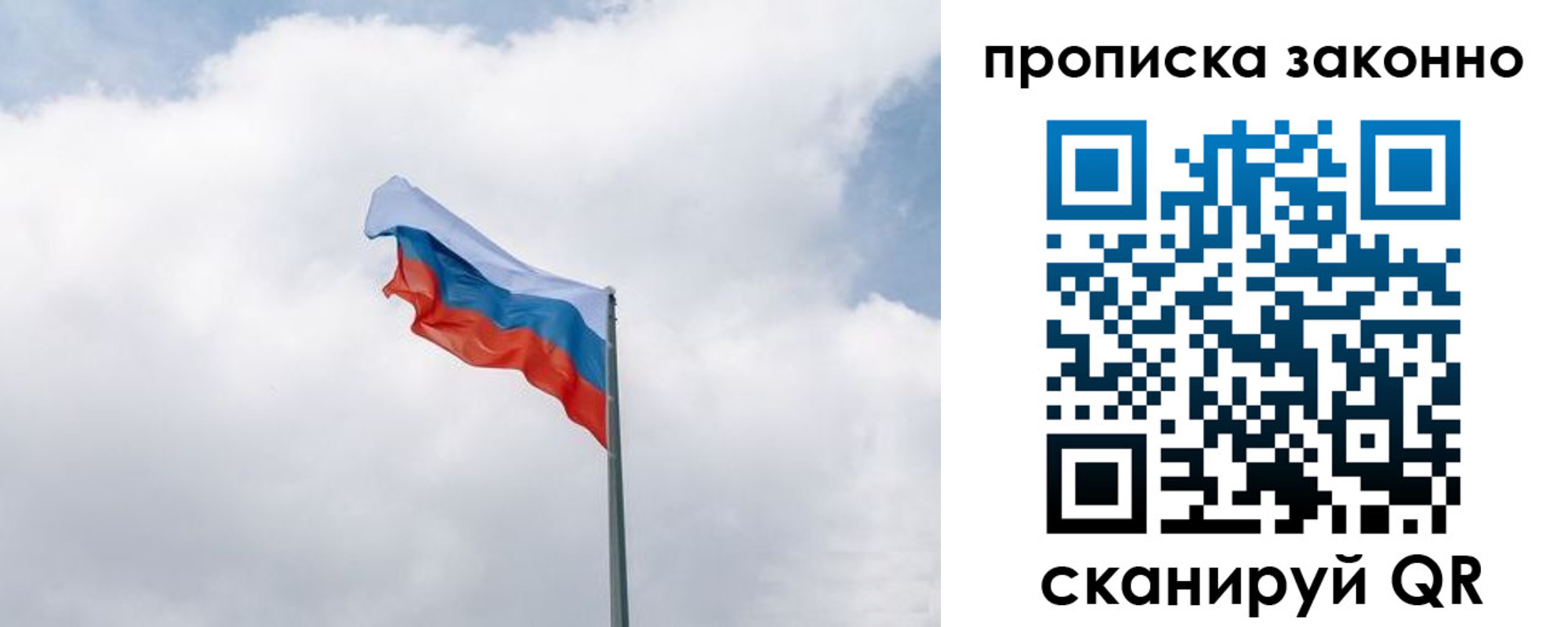 прописка поиск в Боровичах